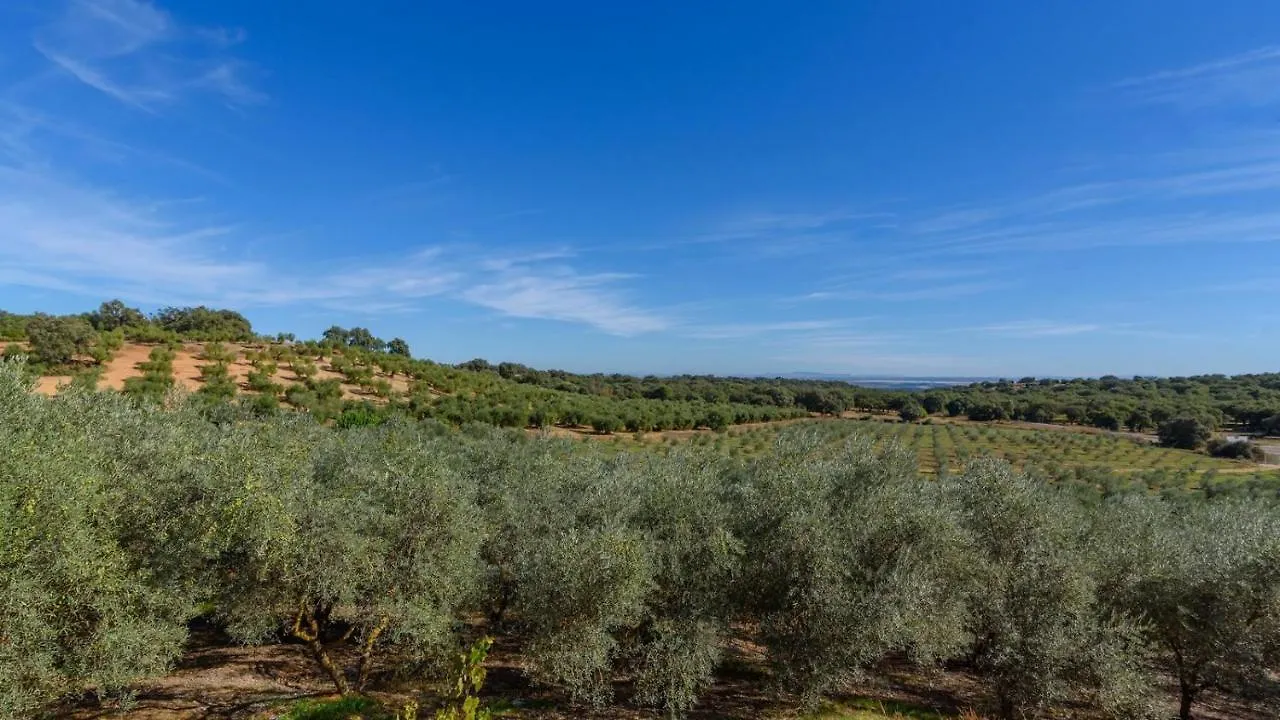 Holiday home Colladopino La Puebla De Los Infantes By Ruralidays